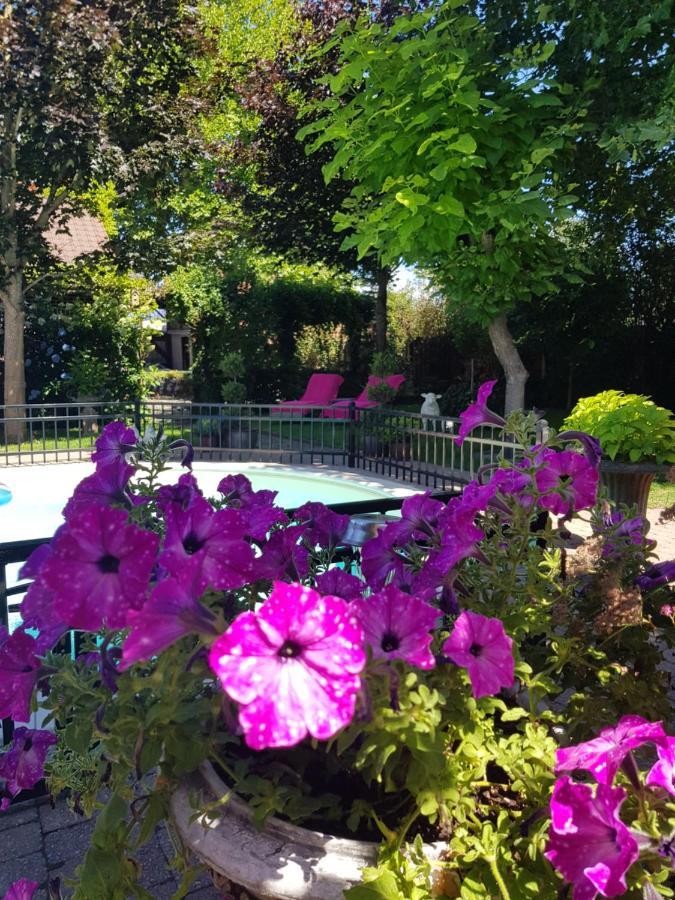 B&B Le Jardin NeerNeerpelt エクステリア 写真